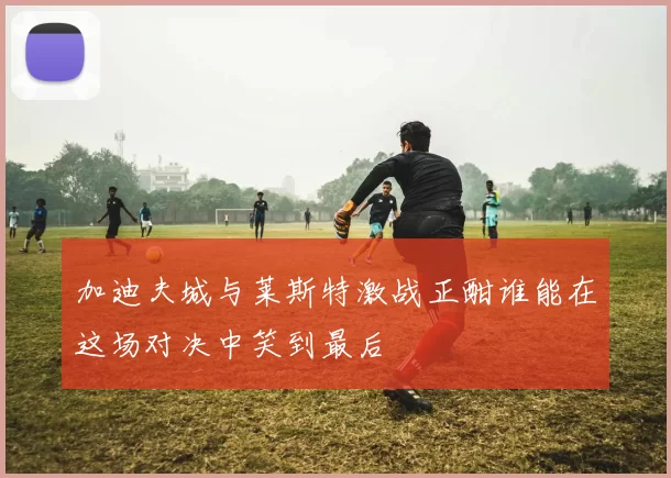 加迪夫城与莱斯特激战正酣谁能在这场对决中笑到最后