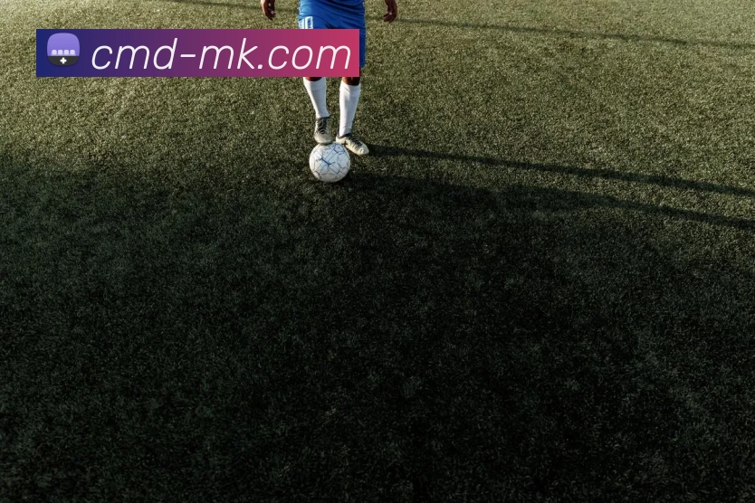 MK体育APP 高清赛事图